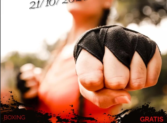 Ontdek en Beleef Budo Dag bij vzw KMTC Afdeling&nbsp;Merelbeke!