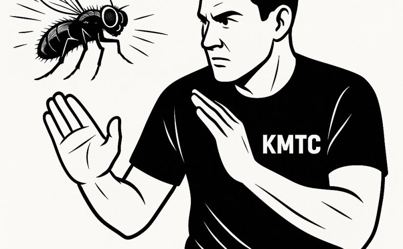 🪰 Wat hebben een vlieg en een Krav Maga-beoefenaar&nbsp;gemeen?